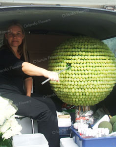 Susan with Grape Orb - 38 hrs of work  and now holding it in the van to Waiheke