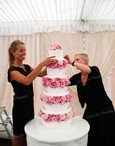 Charlotte and Carla preping Pooja and Vikrams Wedding Cake Flowers