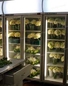 Fridges full of reception flowers