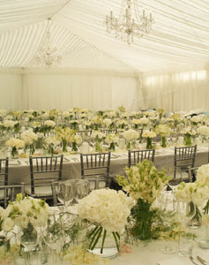 Marquee Dressing - 250   Vases - Photo - Emma Bass