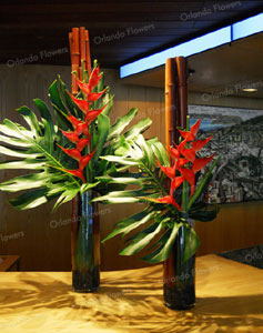 Heliconia  and Monsteria - Reception Desk