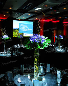 Iris Vases - Corporate Dinner - Sky City Conventions