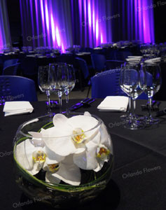 Phalenopsis Orchid Vases - Corporate Event 
