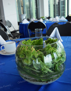 Bells of Ireland  Vases - Corporate Breakfast