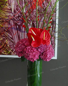 Red Anthriums and Hydrangea - Reception Area