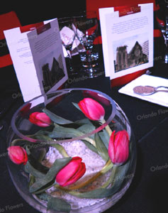 Red Tulip Vase - Fund raising Christchurch Quake 