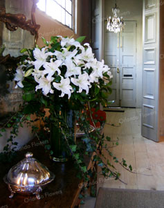 Casablanca Lilies - Corporate Lunch - Mantells