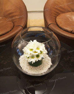 Daisy Vase - Reception Area 