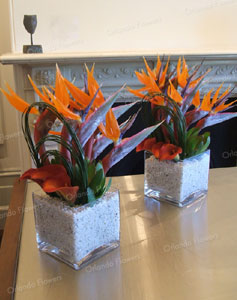 Bird of Paradise Vases - Corporate Dinner - Art Gallery