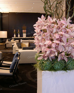 Pink Cymbidium Orchids - Hotel Lounge