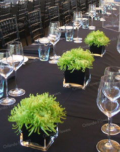 Green Chrysanthemums - Corporate Dinner
