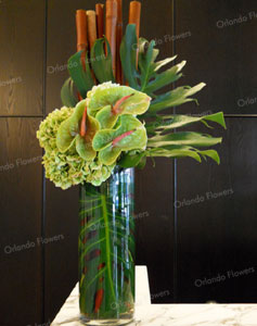 Green Anthriums and Hydrangea - Reception Desk