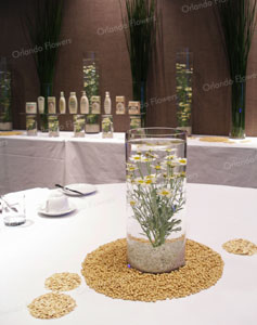 Aveeno Skin Care Launch - Private Room-  Westin Hotel