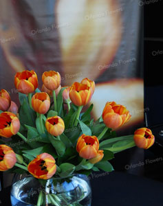 Flame Tulips - Pandora Jewellery Launch