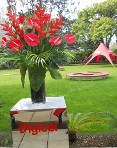 Digicel Launch - Kelliher Estate