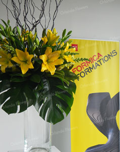  Formica Formations - Promotional Evening