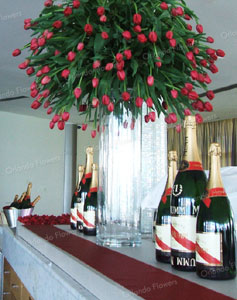 Mumm Champagne Promotion -  Hilton Hotel Red Tulips and Roses