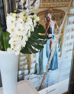 Orchids - Promotion Moet and Chandon Champagne