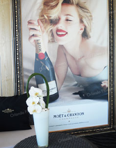 Orchids - Moet and Chandon Champagne Promotion 2