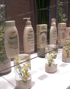  Aveeno Skin Care Launch - Westin Hotel 