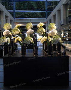 Seasonal Flowers - Opening of Britomart Precinct