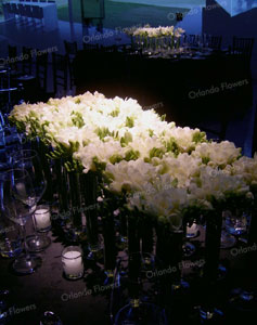 Freesia Vases - Private Function