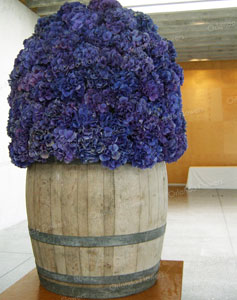 Hydrangea  Installation - Villa Maria