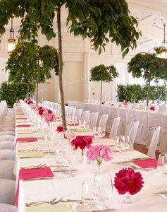 Garden Party Theme - Cherry Trees and Peonies - Heritage Hotel