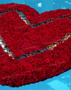 Rose Heart - 1000 red roses - Private Function
