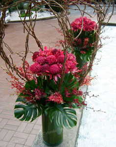 Waratah and Vine Vases - Art Gallery