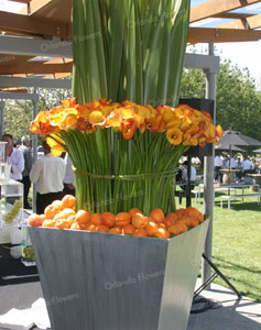 Calla Lilies and Apricots - Villa Maria