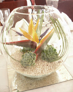 Birds of Paradise and Succulents  - Coporate Function - Grand Tearoom - Heritage Hotel 
