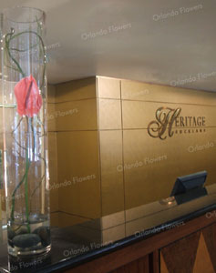 Reception - Heritage Hotel 