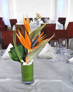  Birds of Paradise - Corporate Function - Grand Tearoom - Heritage Hotel