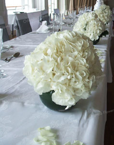 White Hydrangea - Grand Tearoom  - Heritage Hotel