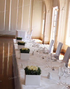 White Rose Cubes - Grand Tearoom - Heritage Hotel 