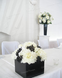  Black and White Seasonal Flower Cubes  - Grand Tearoom - Heritage Hotel 