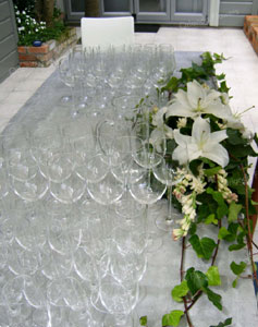 Bar Dressing - Mollies