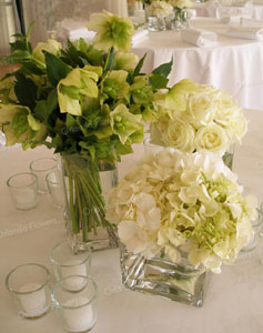 Helebores, Hydrangea and roses - Mantells on the Water