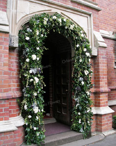 Kings Chapel - Woodland Arch - Photo - Orlando