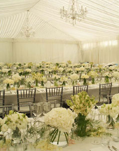 Marquee Dressing - 250 Vases - Photo - Emma Bass