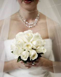 Avalanche Rose Posy - Photo Rachel Hale