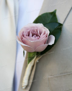 Something Specail Rose Buttonhole- Photo - Emma Bass