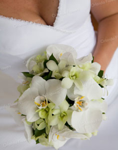 Wired Orchid Posy - Photo - Orlando