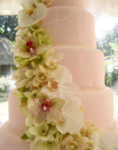 Cake with Orchid Detail - Photo Orlando