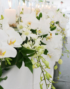 HeadTable- Orchids and Candles - Photo - Orlando