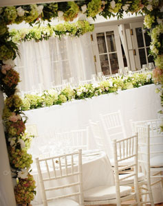 Hydrangea Garlands - Photo - Orlando