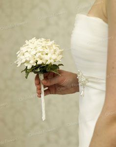 Stephanotis Wired Posy - Photo Rachel Hale