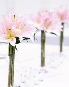 Lily vases - Photo - NZ Weddings Magazine